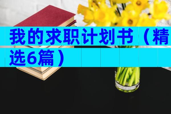 我的求职计划书（精选6篇）