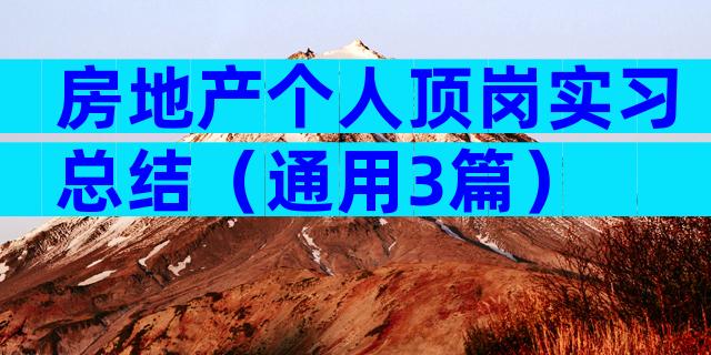 房地产个人顶岗实习总结（通用3篇）