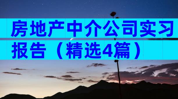 房地产中介公司实习报告（精选4篇）