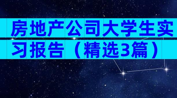 房地产公司大学生实习报告（精选3篇）