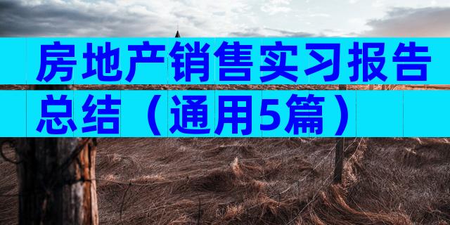房地产销售实习报告总结（通用5篇）