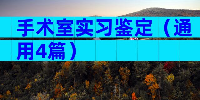 手术室实习鉴定（通用4篇）
