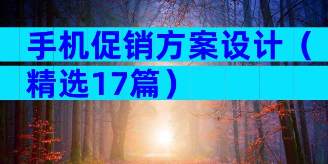 手机促销方案设计（精选17篇）
