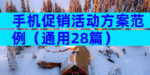 手机促销活动方案范例（通用28篇）