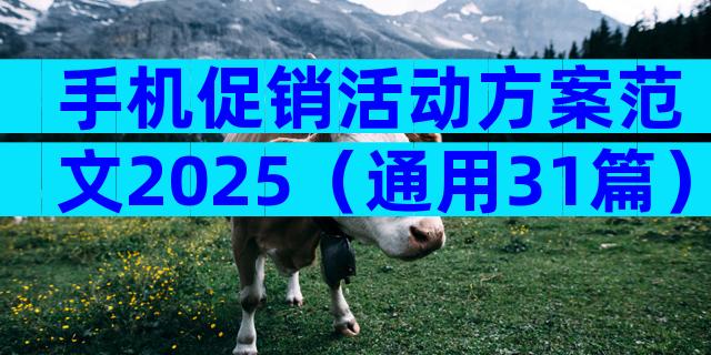 手机促销活动方案范文2025（通用31篇）