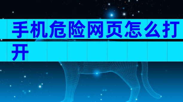 手机危险网页怎么打开