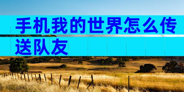 手机我的世界怎么传送队友