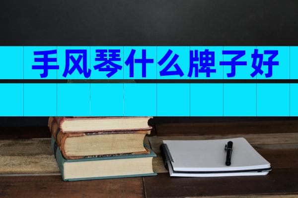 手风琴什么牌子好