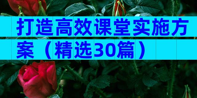打造高效课堂实施方案（精选30篇）