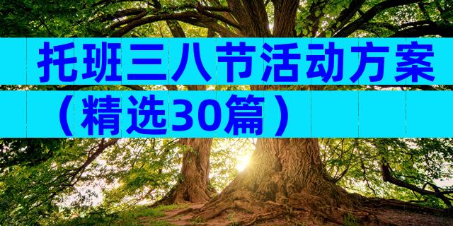 托班三八节活动方案（精选30篇）