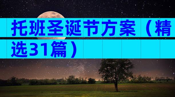 托班圣诞节方案（精选31篇）
