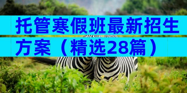 托管寒假班最新招生方案（精选28篇）