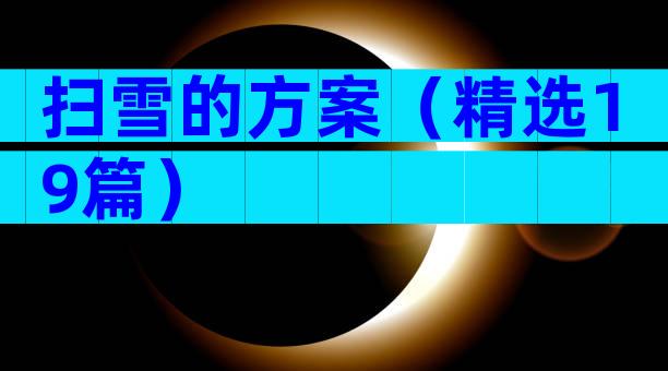 扫雪的方案（精选19篇）