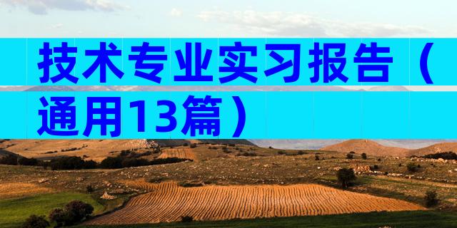 技术专业实习报告（通用13篇）