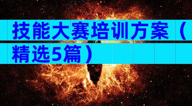 技能大赛培训方案（精选5篇）