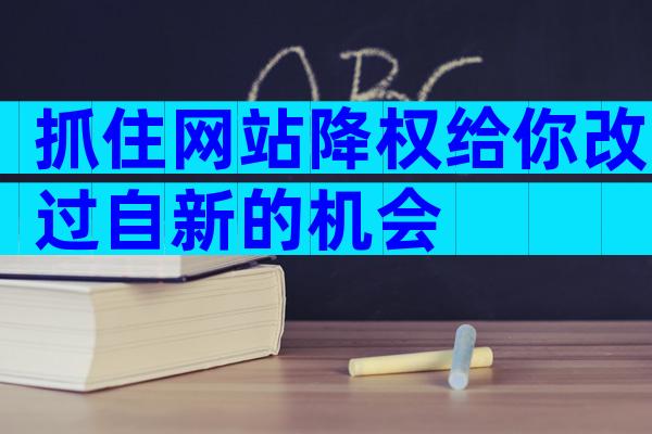 抓住网站降权给你改过自新的机会