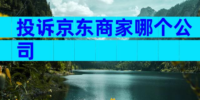 投诉京东商家哪个公司