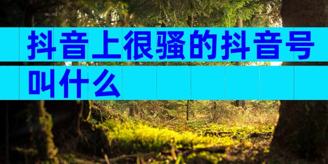 抖音上很骚的抖音号叫什么
