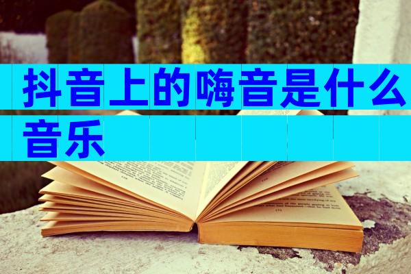 抖音上的嗨音是什么音乐