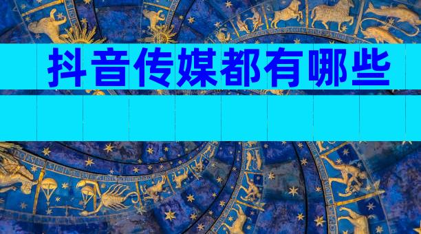 抖音传媒都有哪些