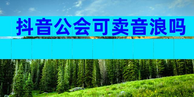 抖音公会可卖音浪吗