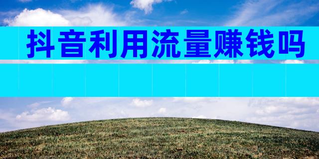 抖音利用流量赚钱吗