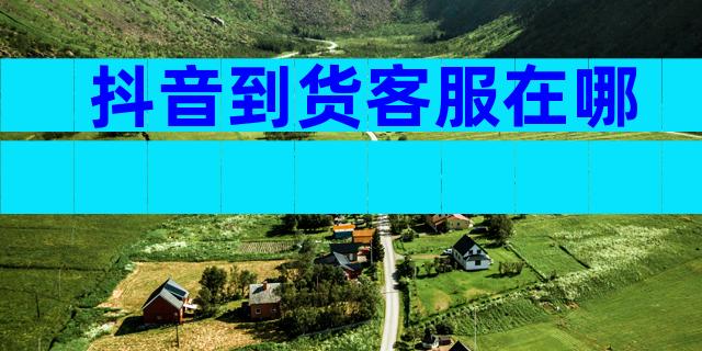 抖音到货客服在哪