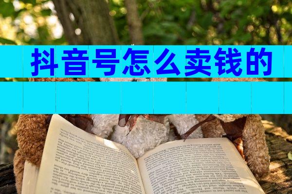 抖音号怎么卖钱的