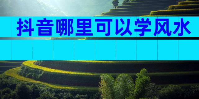抖音哪里可以学风水