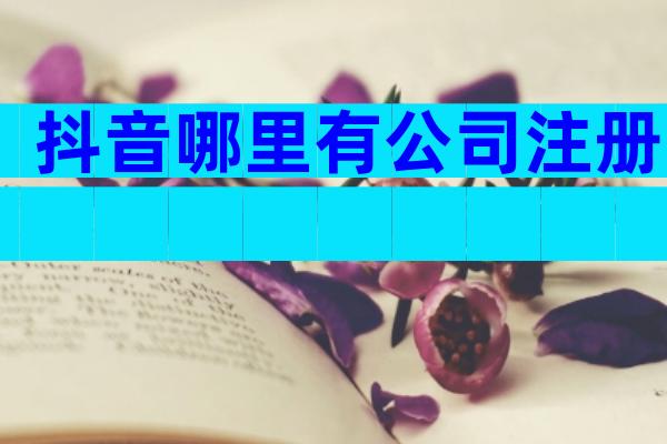 抖音哪里有公司注册