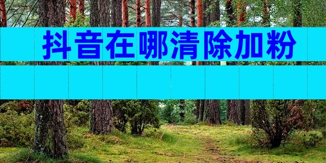 抖音在哪清除加粉