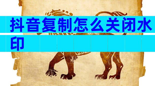 抖音复制怎么关闭水印