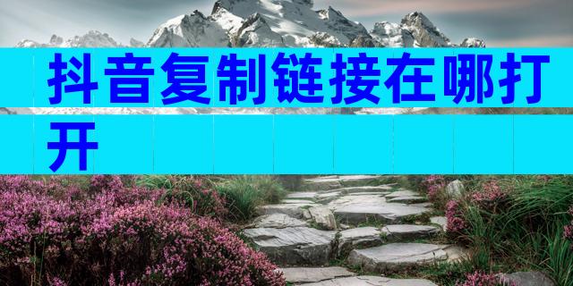 抖音复制链接在哪打开