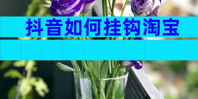 抖音如何挂钩淘宝