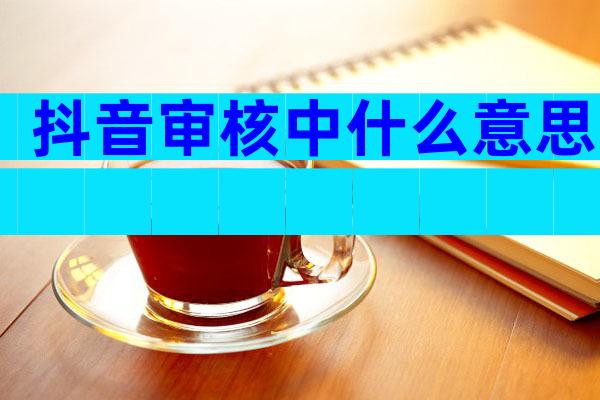 抖音审核中什么意思