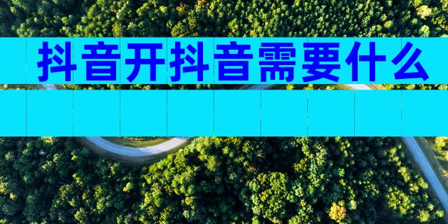 抖音开抖音需要什么