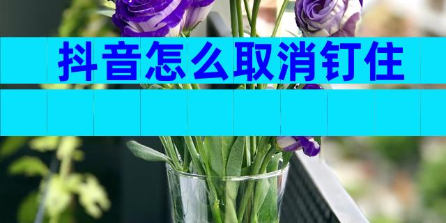 抖音怎么取消钉住