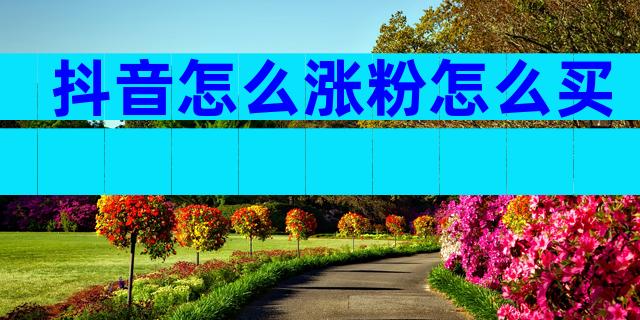 抖音怎么涨粉怎么买