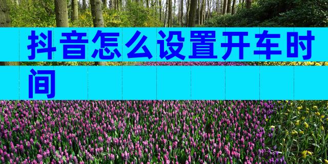 抖音怎么设置开车时间