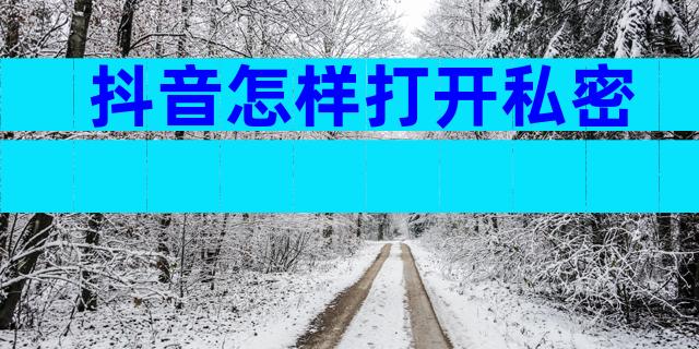 抖音怎样打开私密