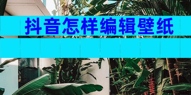 抖音怎样编辑壁纸