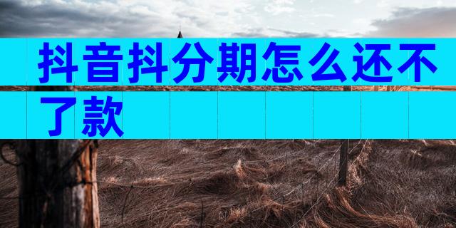 抖音抖分期怎么还不了款
