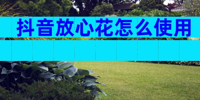 抖音放心花怎么使用