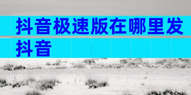 抖音极速版在哪里发抖音