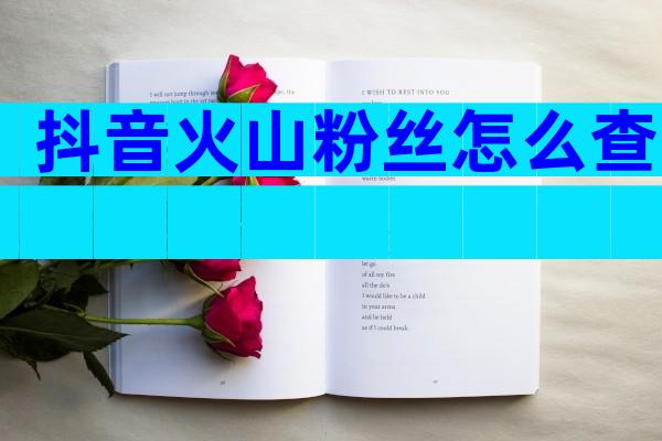 抖音火山粉丝怎么查