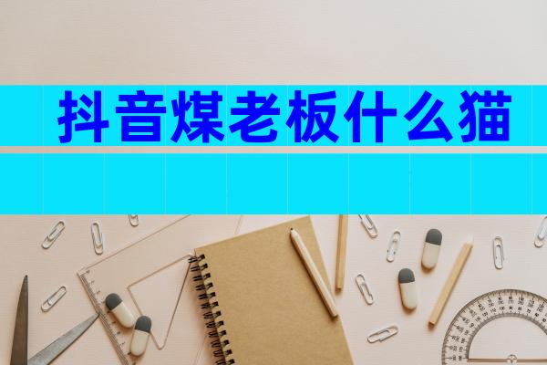抖音煤老板什么猫