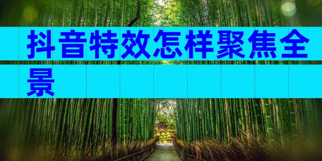 抖音特效怎样聚焦全景