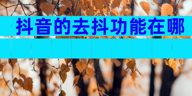 抖音的去抖功能在哪