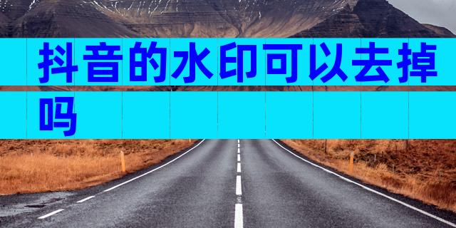 抖音的水印可以去掉吗