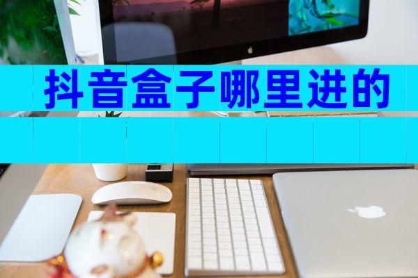 抖音盒子哪里进的